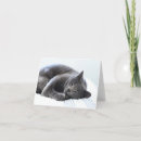 Buscar gato tarjetas nota Tarjeta en blanco