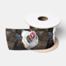 Buscar gallina cintas Pájaro