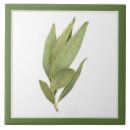 Buscar fresco azulejos General y unisex