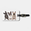 Buscar perritos etiquetas para maletas General y unisex
