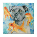 Buscar perro azulejos Amantes del perro
