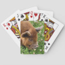 Buscar cerdos barajas de cartas General y unisex