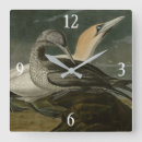 Buscar illustration relojes de pared Bird