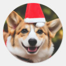 Buscar sonriendo pegatinas Perro