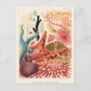 Buscar biología marina postales Vintage