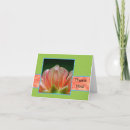 Buscar rocíe tarjetas Gotas de rocío