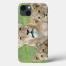 Buscar panthera leo fundas Cachorro