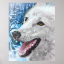 Buscar del lobo posters Retrato de lobo