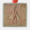 Buscar anatomía humana Medicina