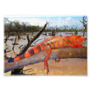 Buscar reptil fotografía Exótico