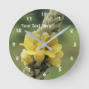 Buscar multicolor arte Madre