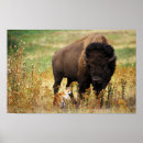 Buscar tipos posters General y unisex