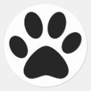 Buscar perro simple Gato