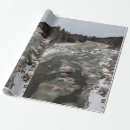 Buscar agua congelada papel de regalo Congelado