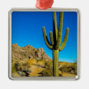 Buscar cactus adornos Sudoeste