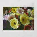 Buscar gerberas postales Rojo