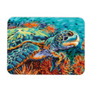 Buscar la derecha rectangulares imanes Costero