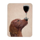 Buscar setter imanes Dog