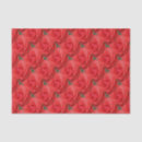 Buscar flores rojas papel de seda Patrón