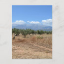 Buscar olivar postales Paisaje