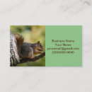 Buscar peludo tarjetas de visita Naturaleza