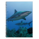 Buscar tiburones cuadernos Azul