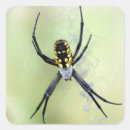 Buscar arachnophobia Halloween