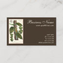 Buscar hierbas y especias tarjetas de visita Alimento