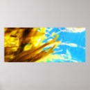 Buscar soleado posters Brillante