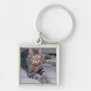 Buscar gato de tabby llaveros Gatito