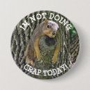 Buscar squirrel chapas Humor