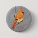 Buscar cardenales chapas Invierno