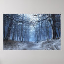 Buscar lobos grises posters Bosque