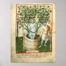 Buscar viticultura posters Vino