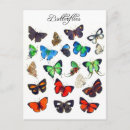 Buscar mariposas coloridas postales Amarillo