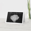 Buscar 2do boda tarjetas aniversario Rosa