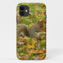 Buscar ardilla iphone fundas Animal