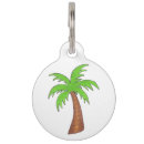 Buscar palmeras collares Isla