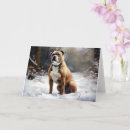 Buscar terrier de staffordshire tarjetas Perro