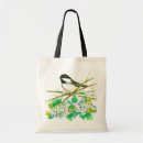 Buscar catkins Para todos