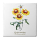 Buscar manta azulejos Floral