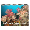 Buscar tiburón calendarios Fotografía