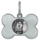 Buscar bebés mascotas Perro