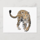 Buscar leopardo verde postales Acuarela