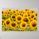 Buscar summer arte Meadow