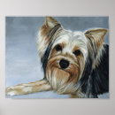 Buscar yorkshire arte Terrier