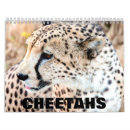 Buscar guepardos calendarios Animales