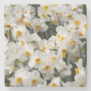 Buscar narciso posavasos Blanco