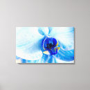 Buscar orquídea azul lienzos Flor