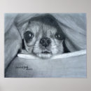 Buscar grafito posters Animales